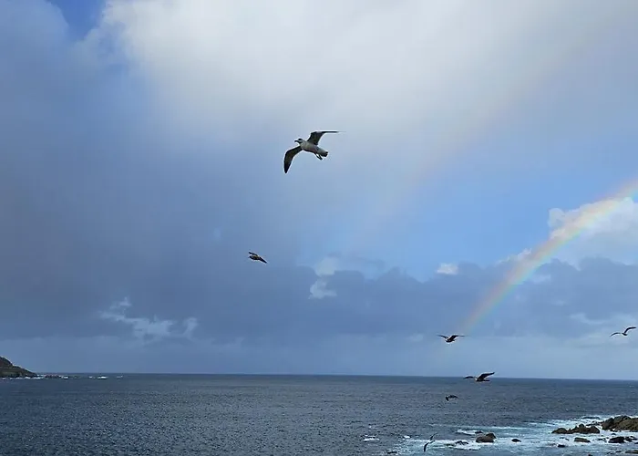 Апартаменты Miel *